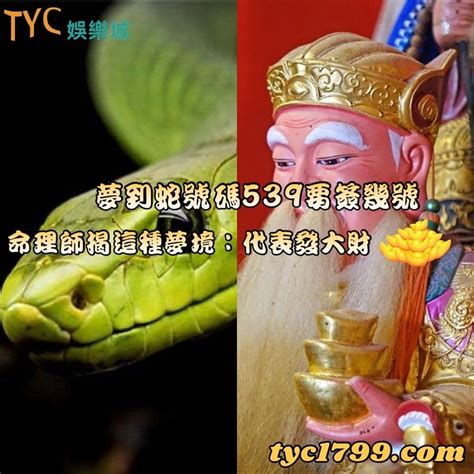 夢到女人是幾號|夢境解讀數字竟然可以中樂透？整理好多個派網頁的解夢數字－。。